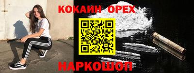 дурь Кингисепп