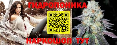 дурь Кингисепп