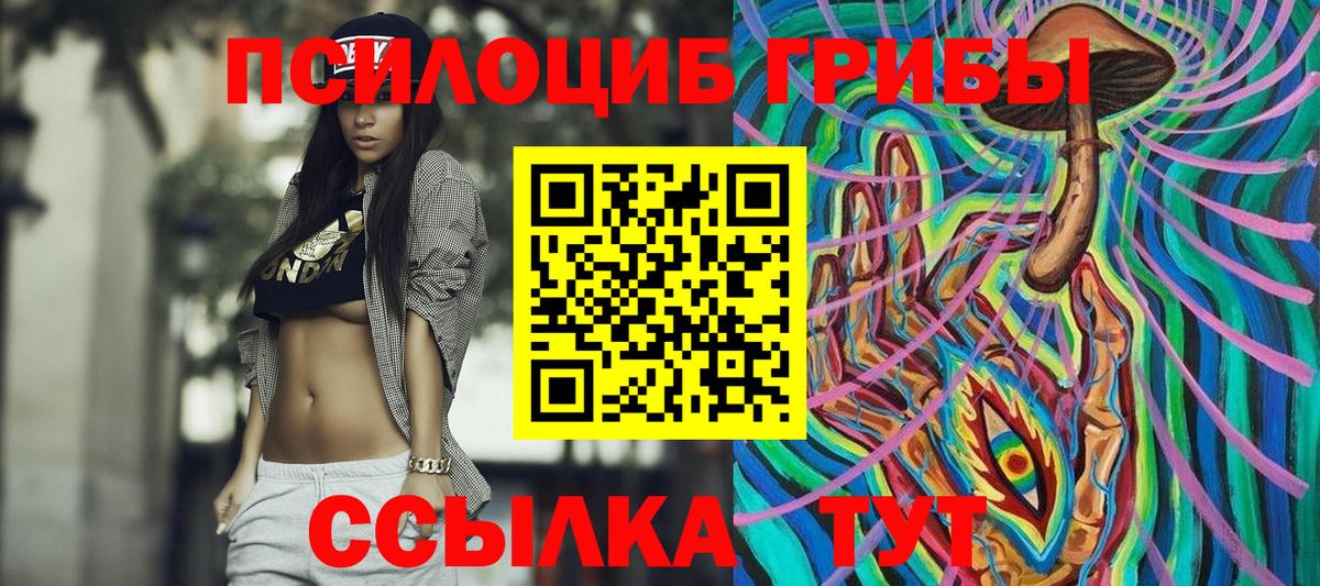 Псилоцибиновые грибы Cubensis  Вход с VPN  Киреевск 